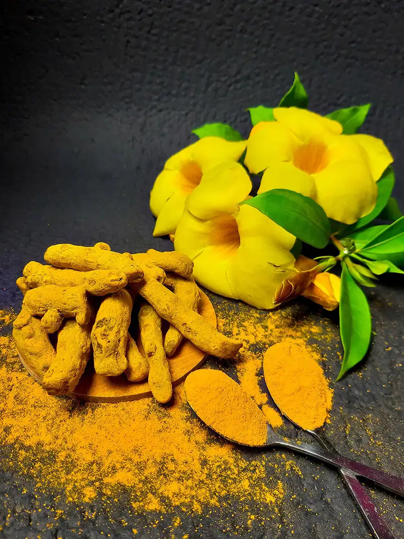 des racines, fleurs et poudre de curcuma sur un fond noir